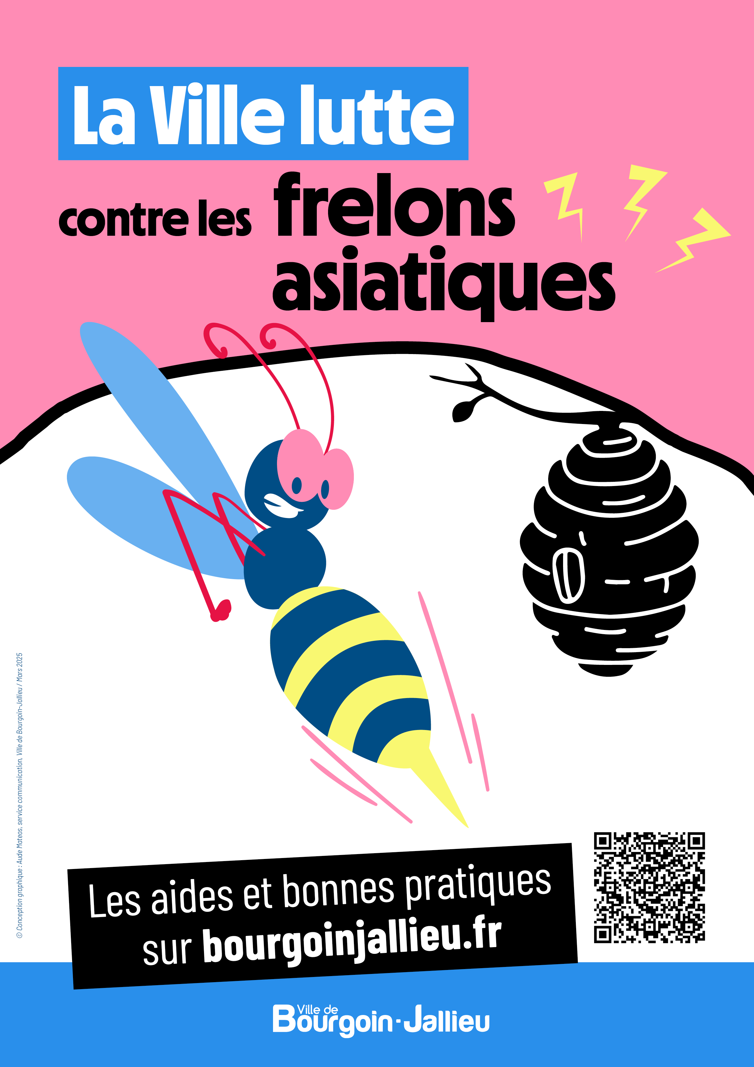AFFICHE frelons asiatiques