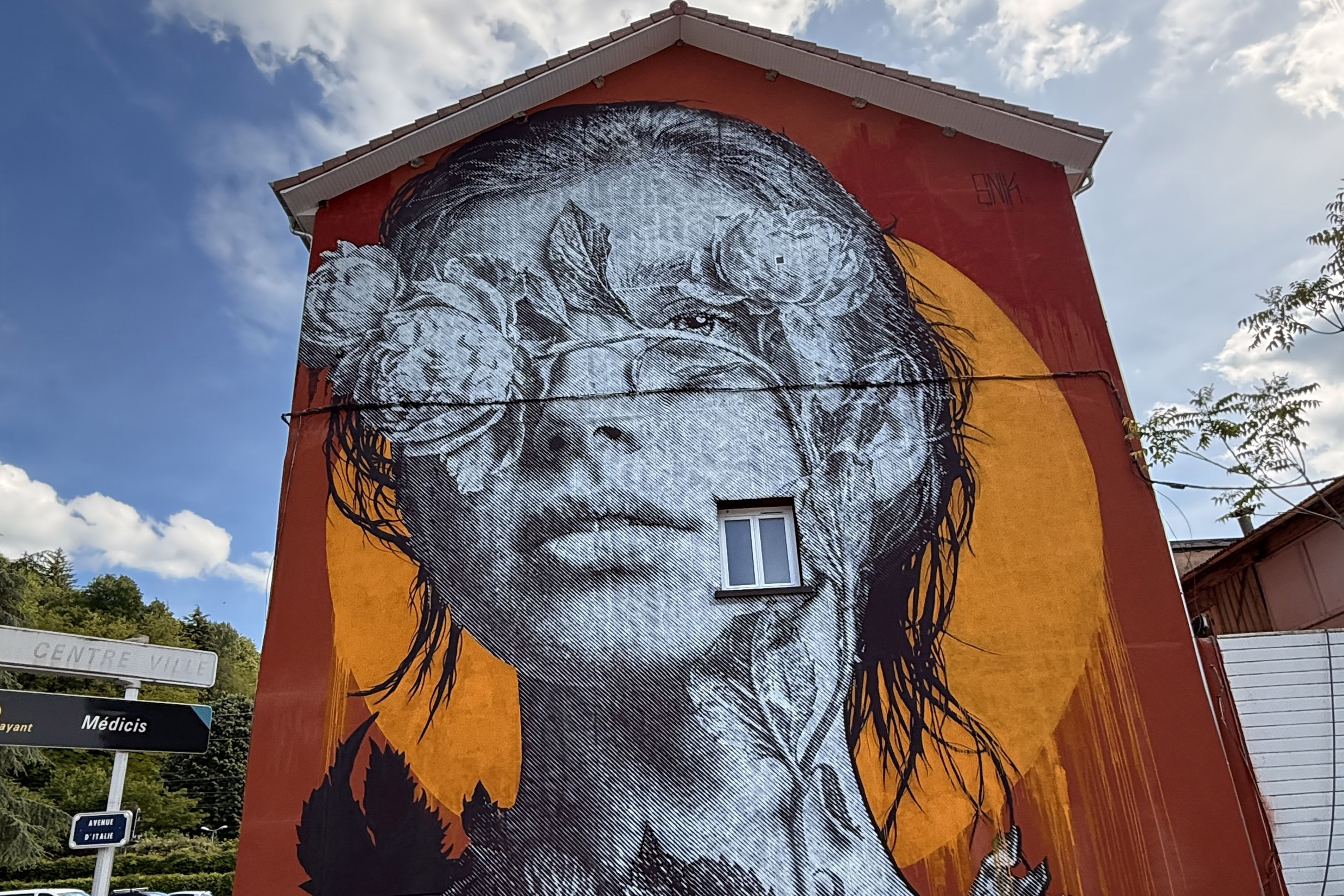 SNIK ARTS - Ce qui continue de grandir (What Still Grows) – Mai 2026 - 28 rue Stalingrad Bourgoin-Jallieu