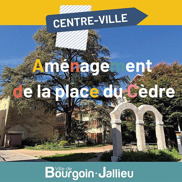 Travaux pl Cedre
