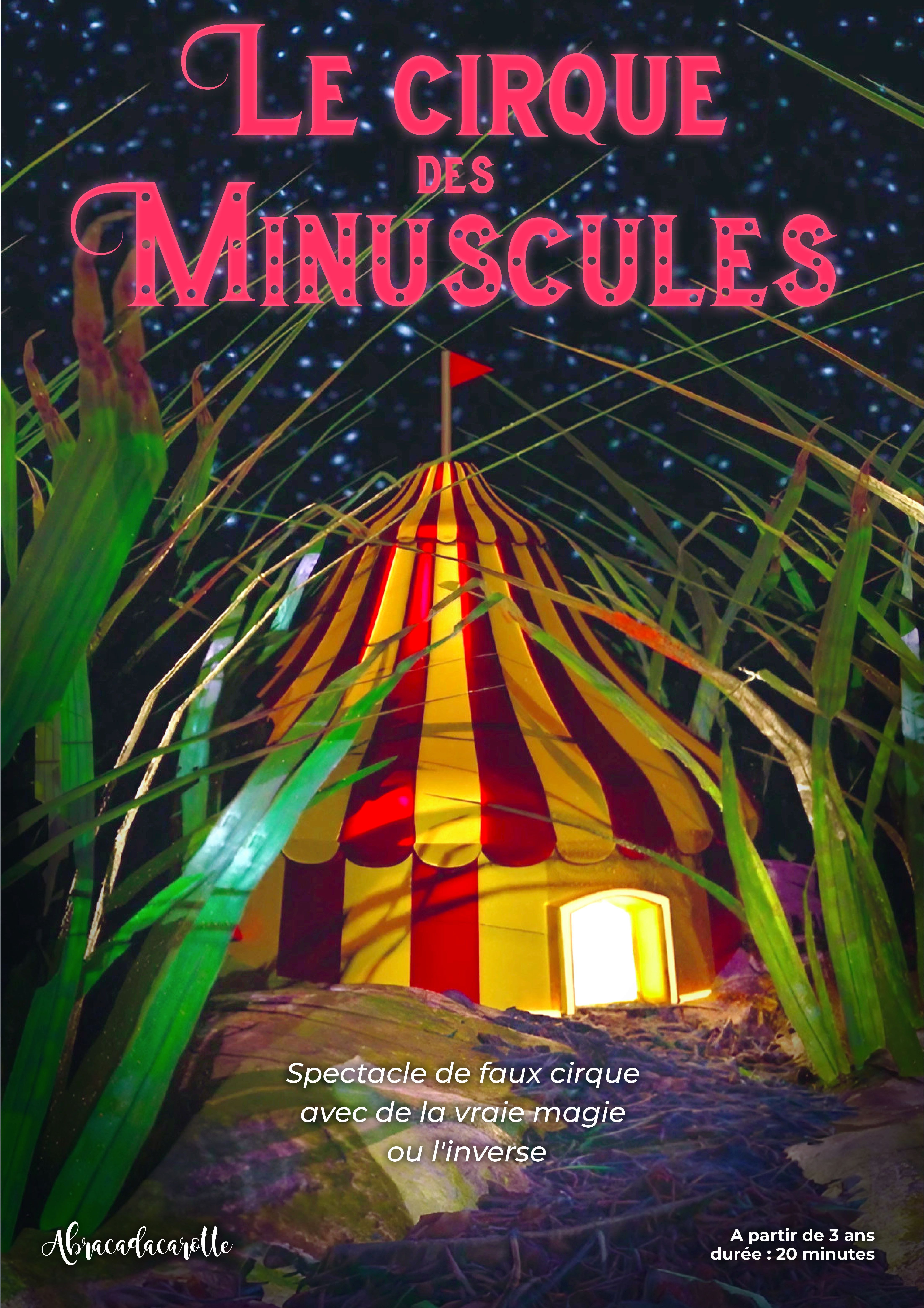 CirqueDesMinusculesV3 2