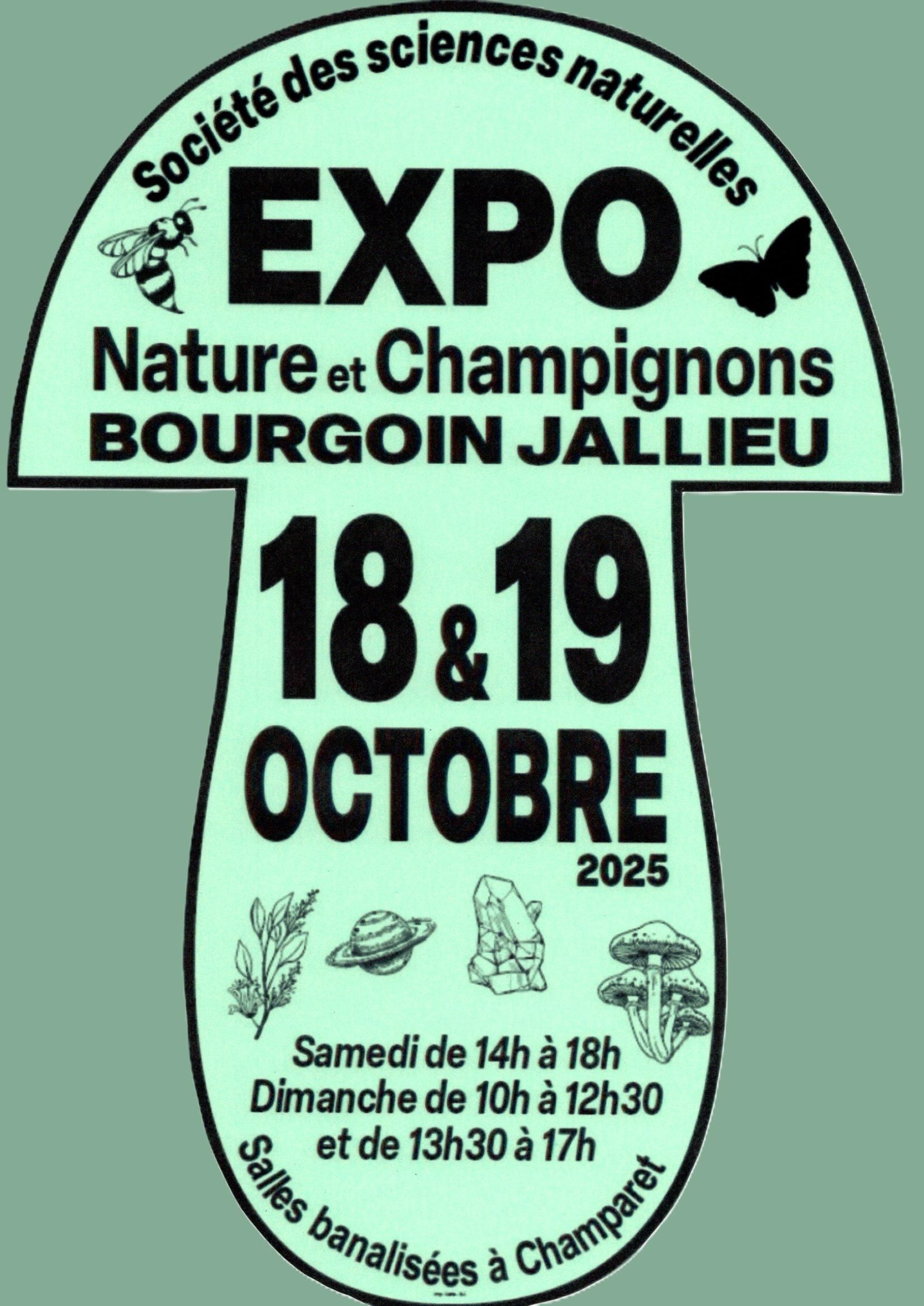 expo champi