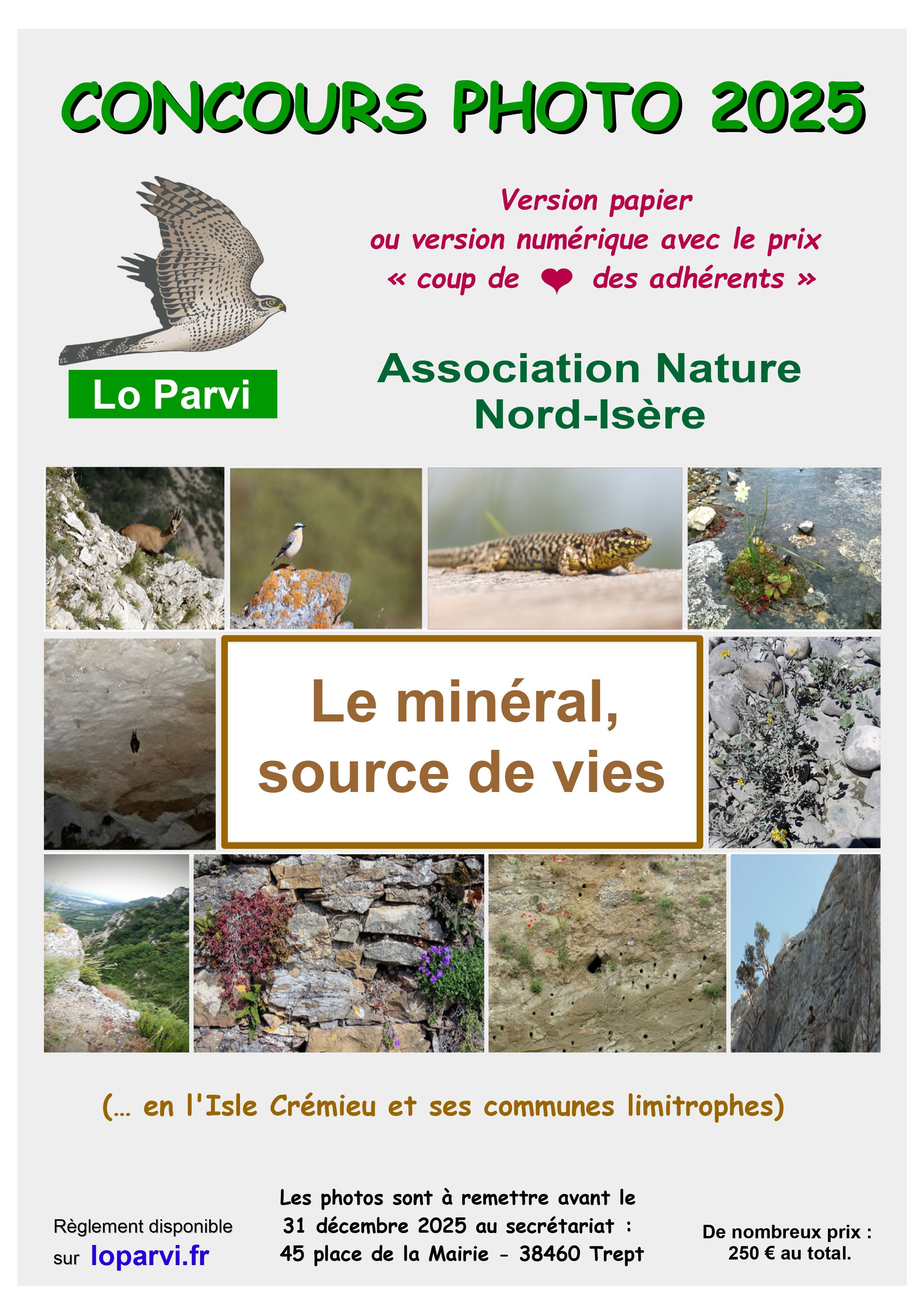 affiche le minéral light