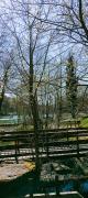 IMG20250406145250
