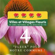 KIT-DE-COM-4-FLEURS
