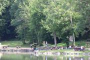 IMG0029