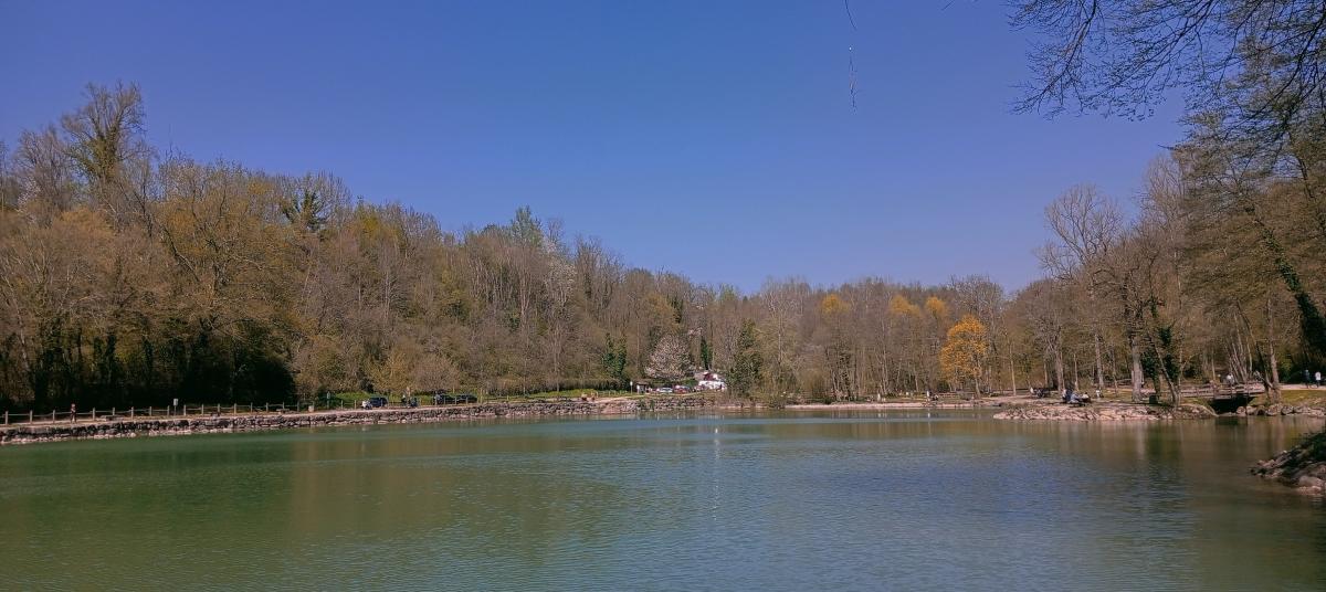 IMG20250406144044