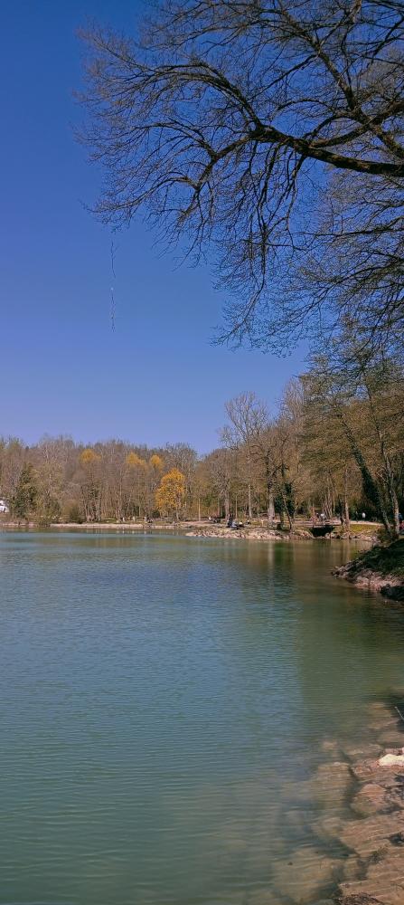 IMG20250406144049