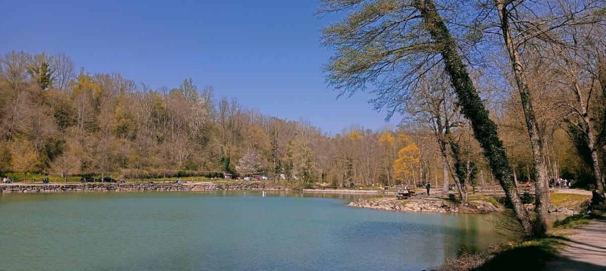 IMG20250406144138