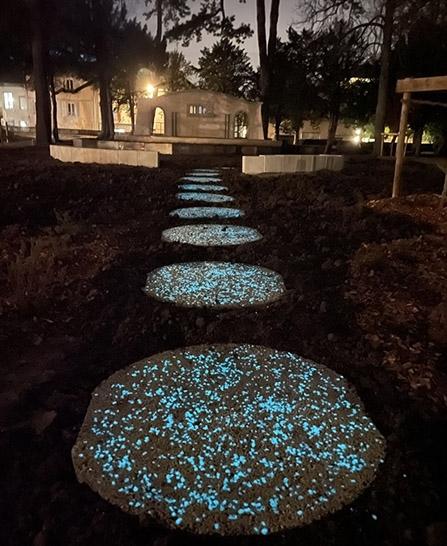 light-rehau