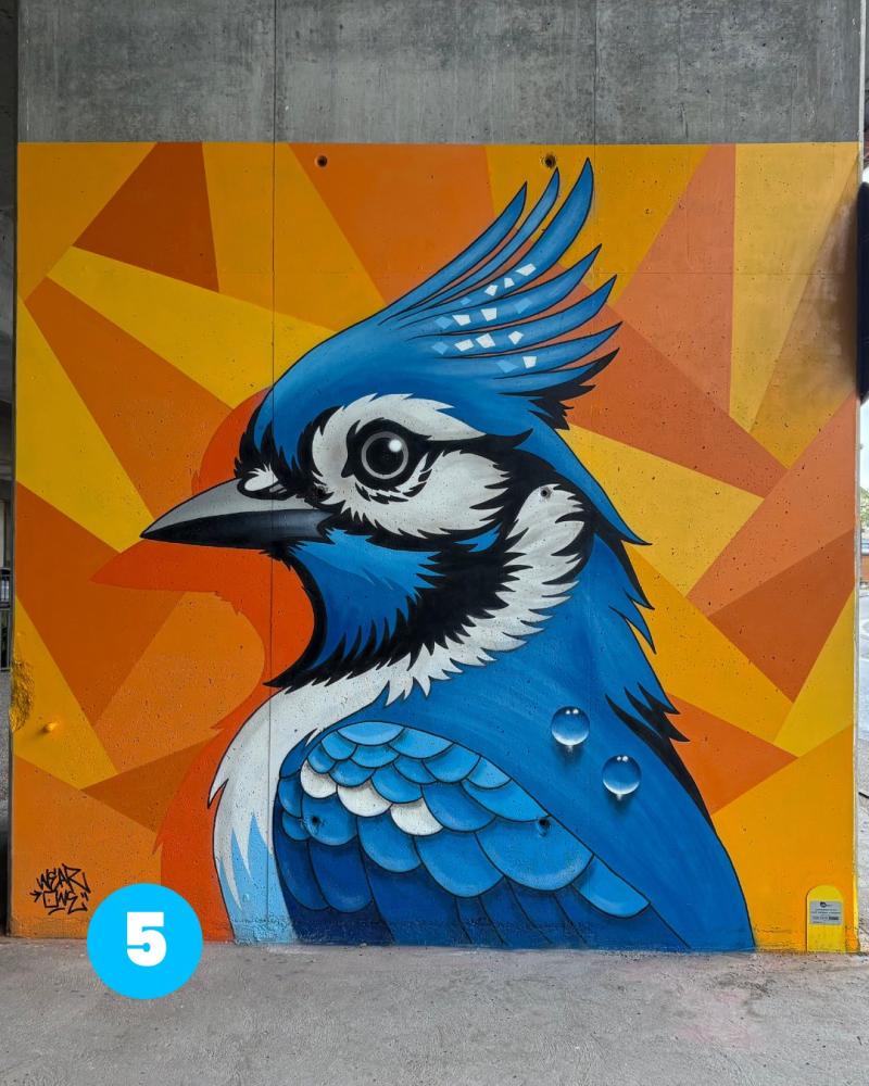 5-WEAR-one